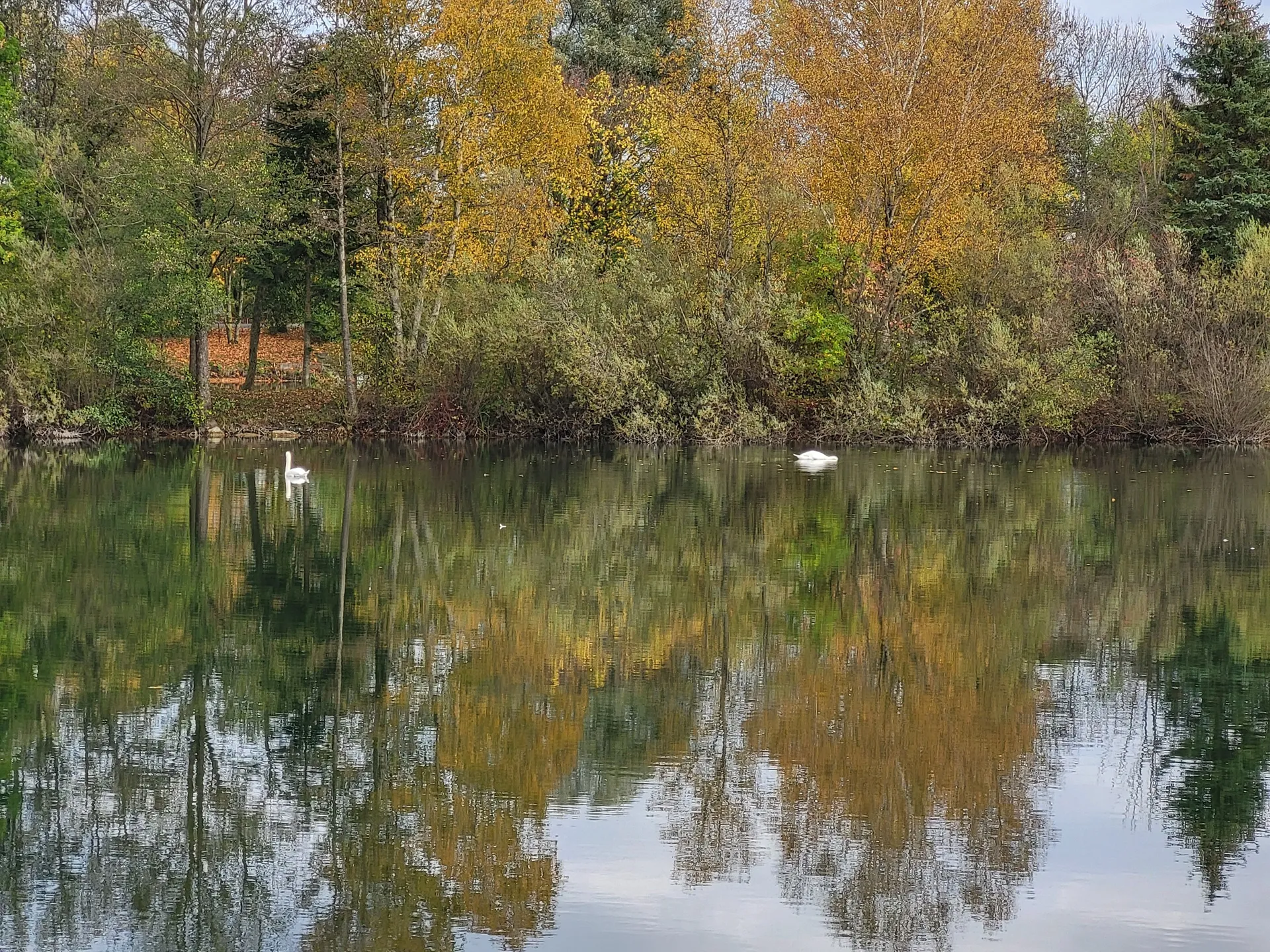 Malerische Ansicht des Bauernhof Weihers 6
